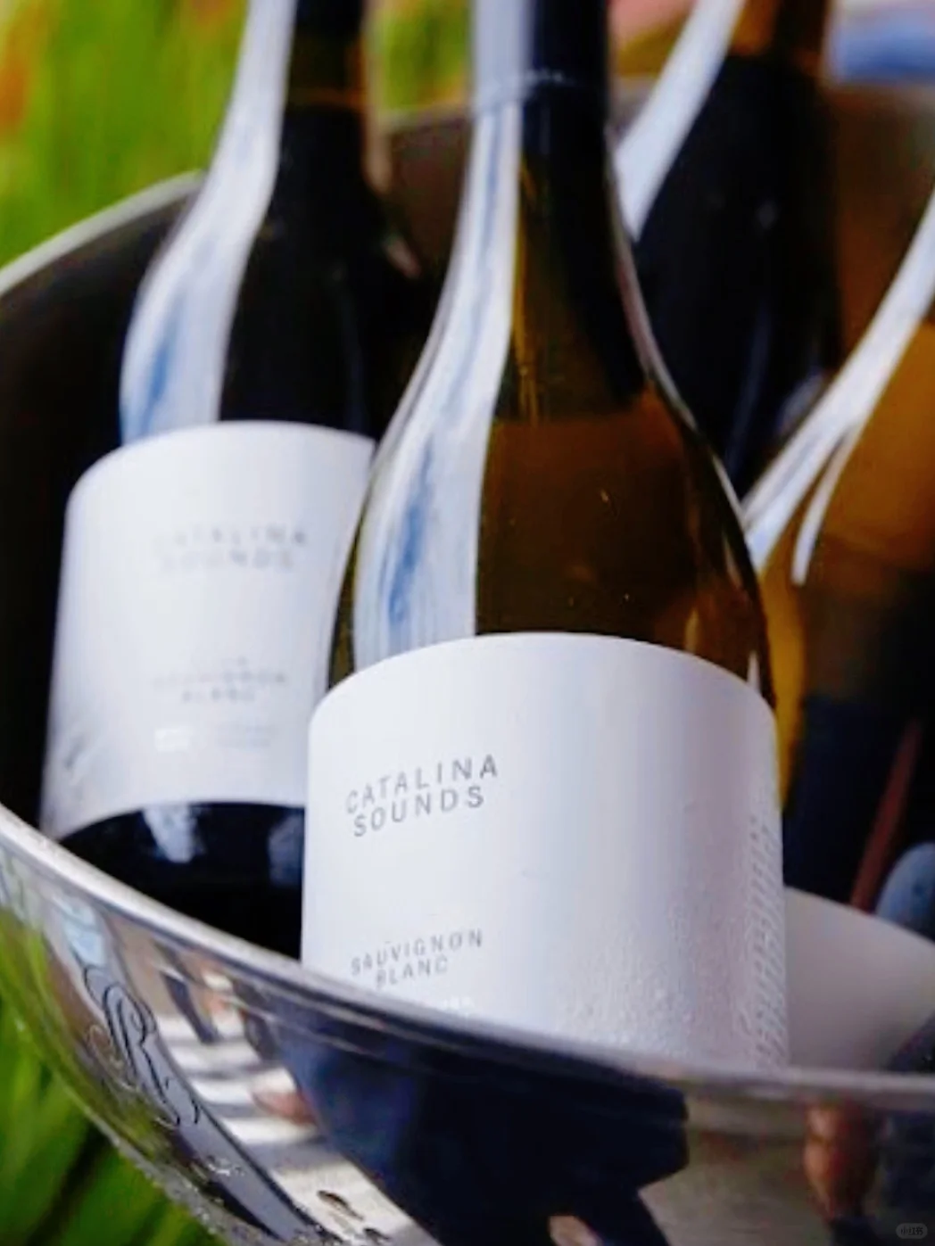 白葡萄酒甄选！开瓶就坠入南半球盛夏果园！