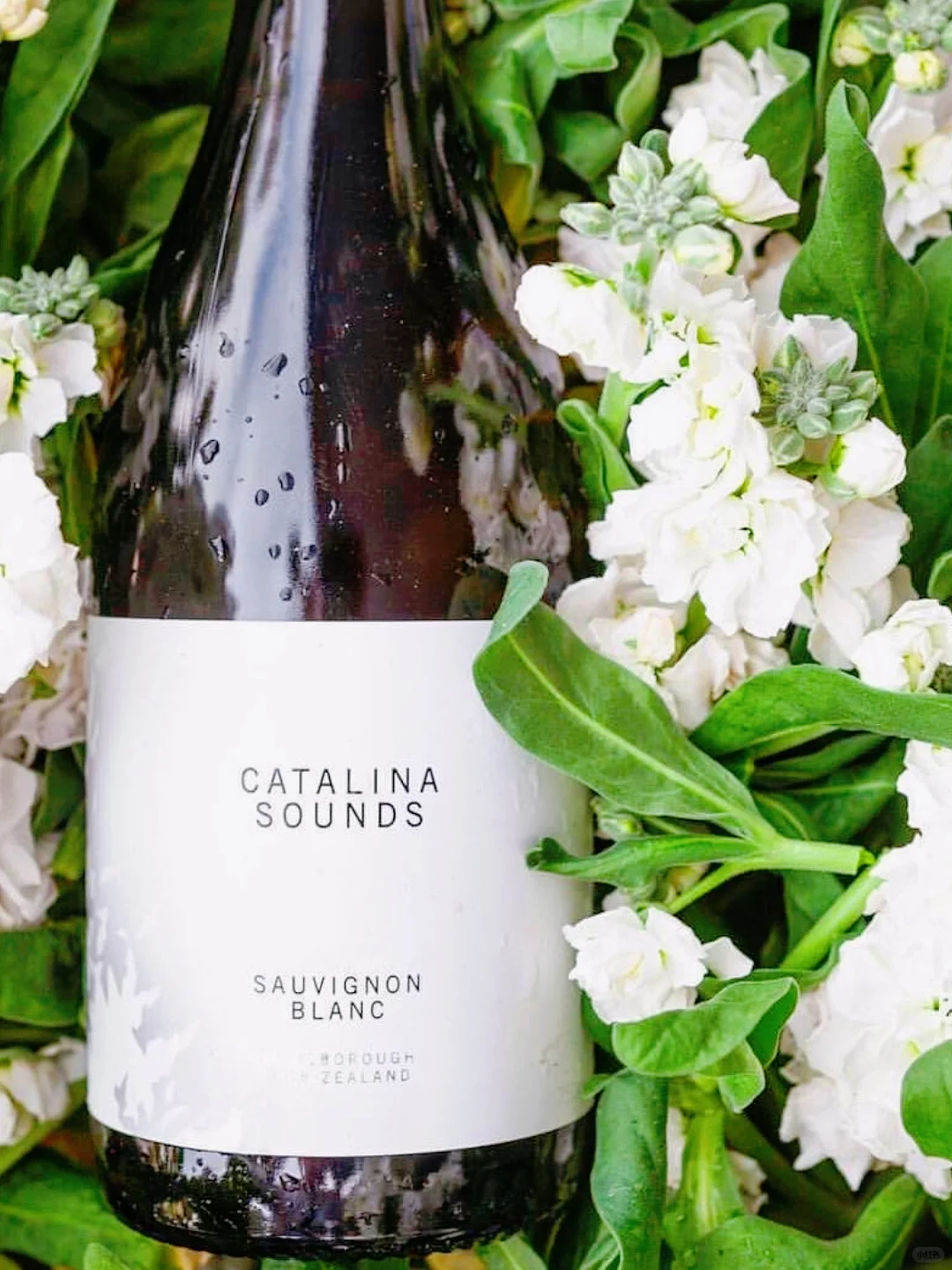 白葡萄酒甄选！开瓶就坠入南半球盛夏果园！