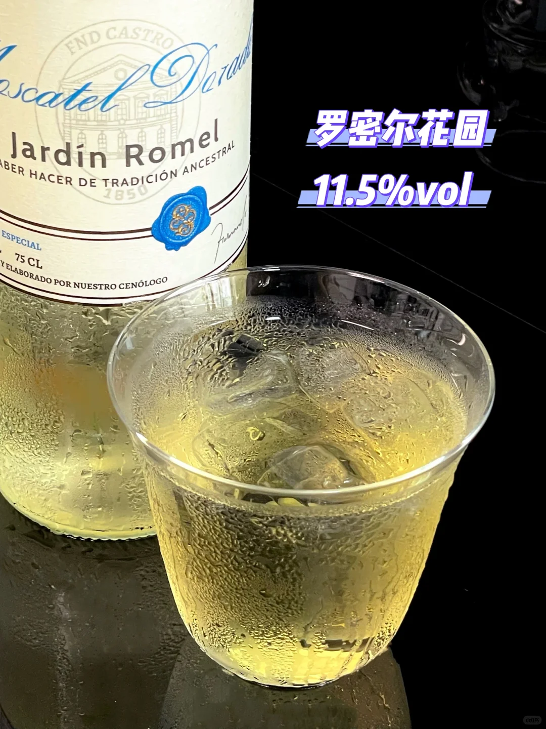 2025季度好喝（甜渣党版