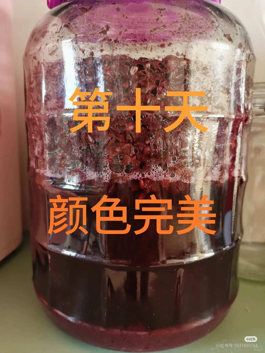 自酿葡萄酒第32天，酒色暗红分装小瓶
