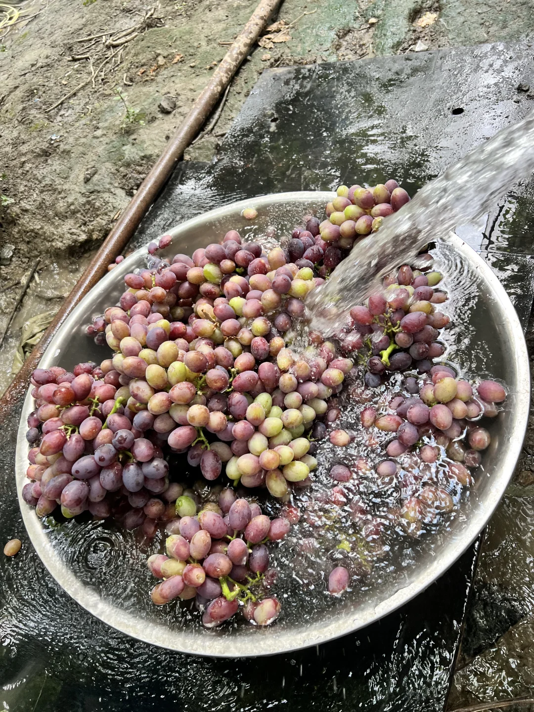 用最优质的葡萄做葡萄酒是什么味道？