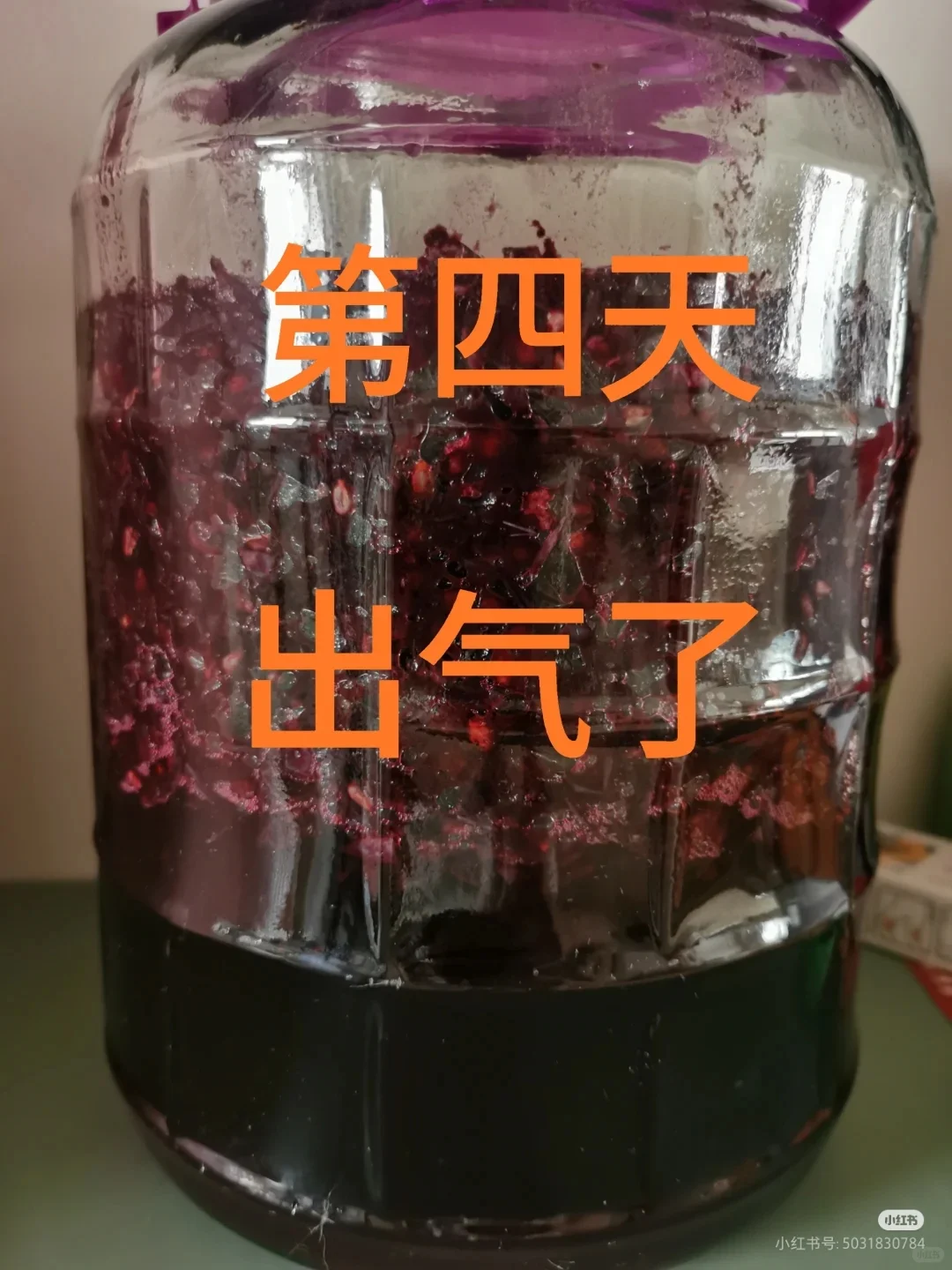 自酿葡萄酒第32天，酒色暗红分装小瓶
