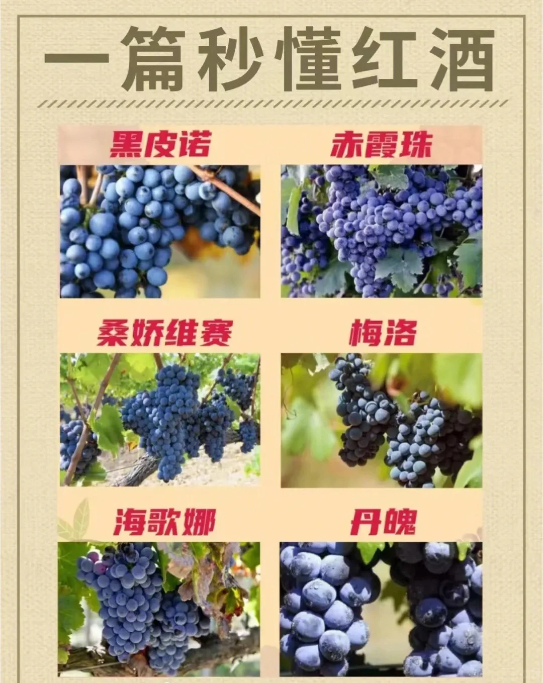 新手入门，好酒知识