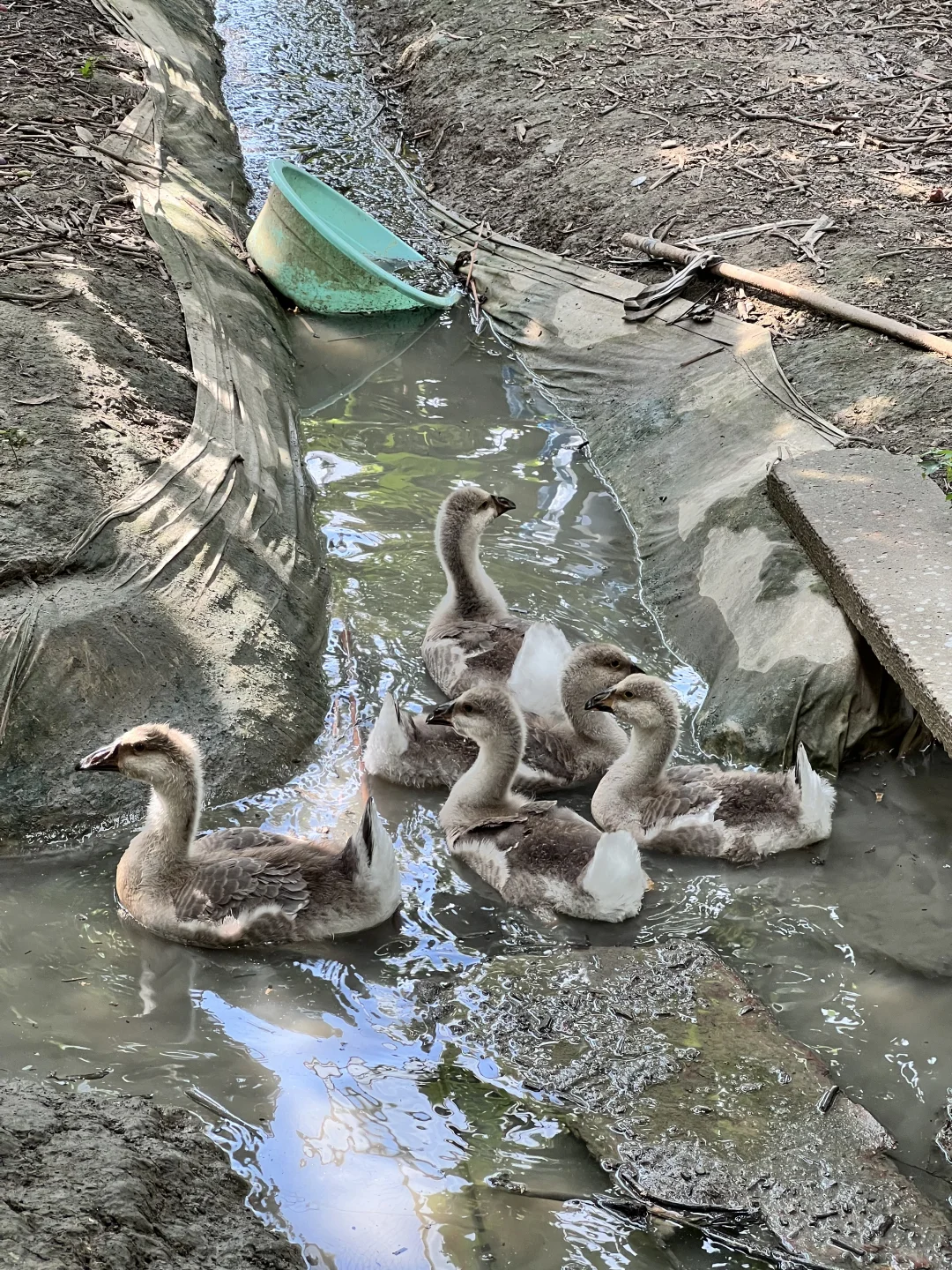 用最优质的葡萄做葡萄酒是什么味道？