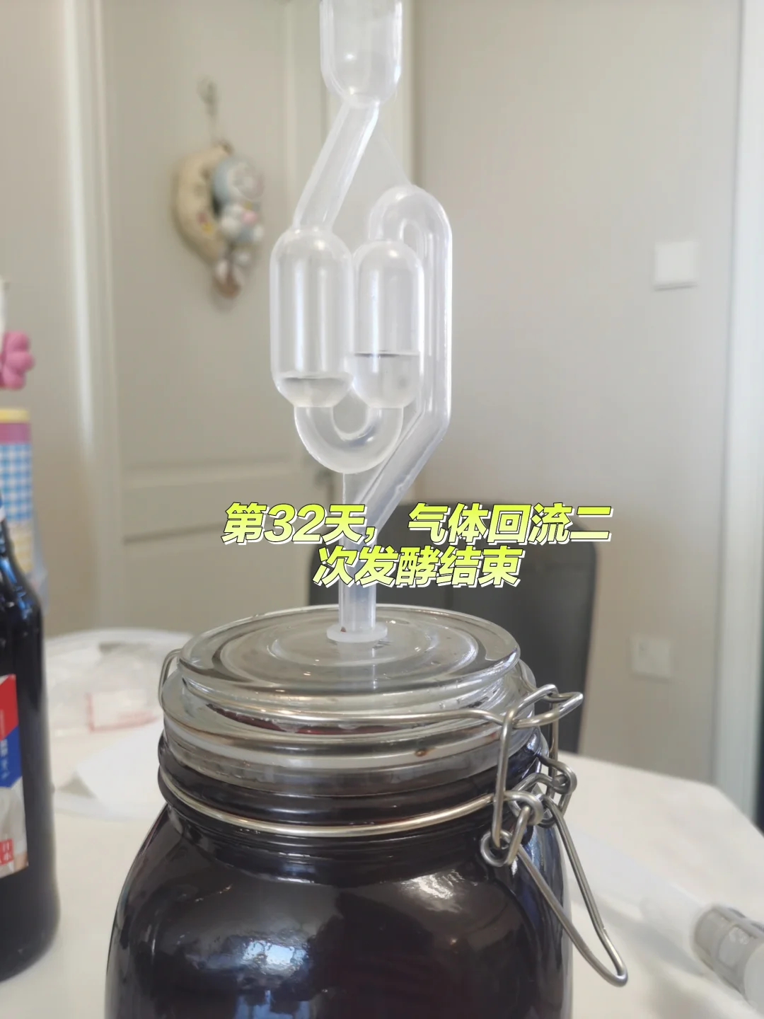 自酿葡萄酒第32天，酒色暗红分装小瓶