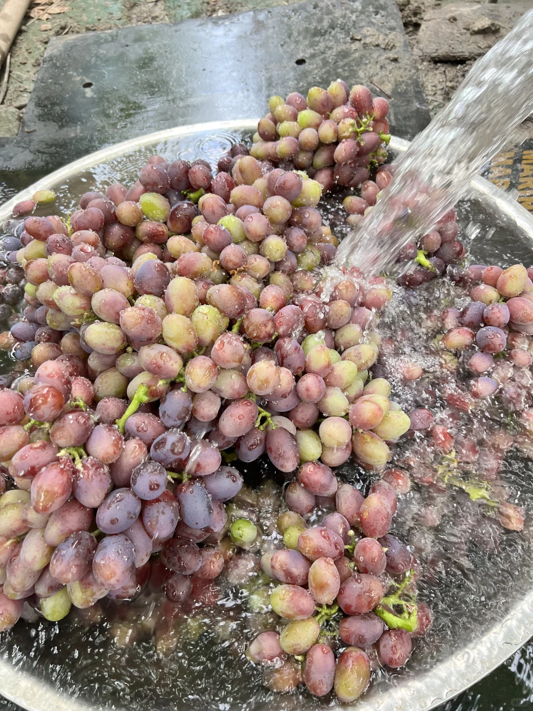 用最优质的葡萄做葡萄酒是什么味道？