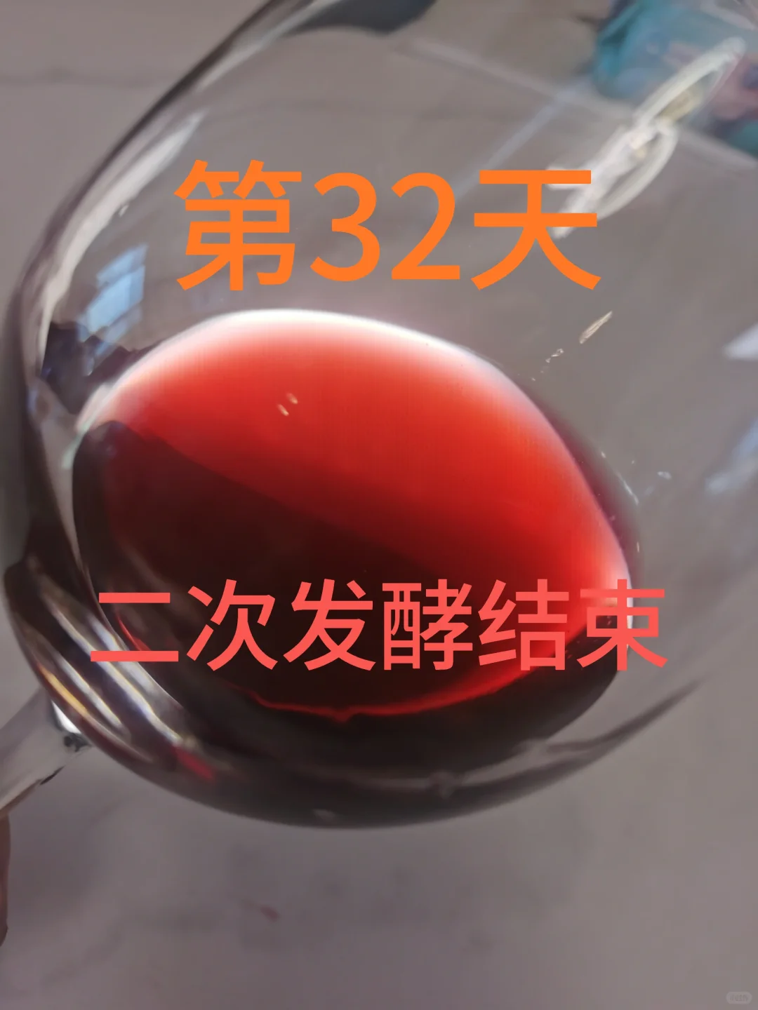 自酿葡萄酒第32天，酒色暗红分装小瓶