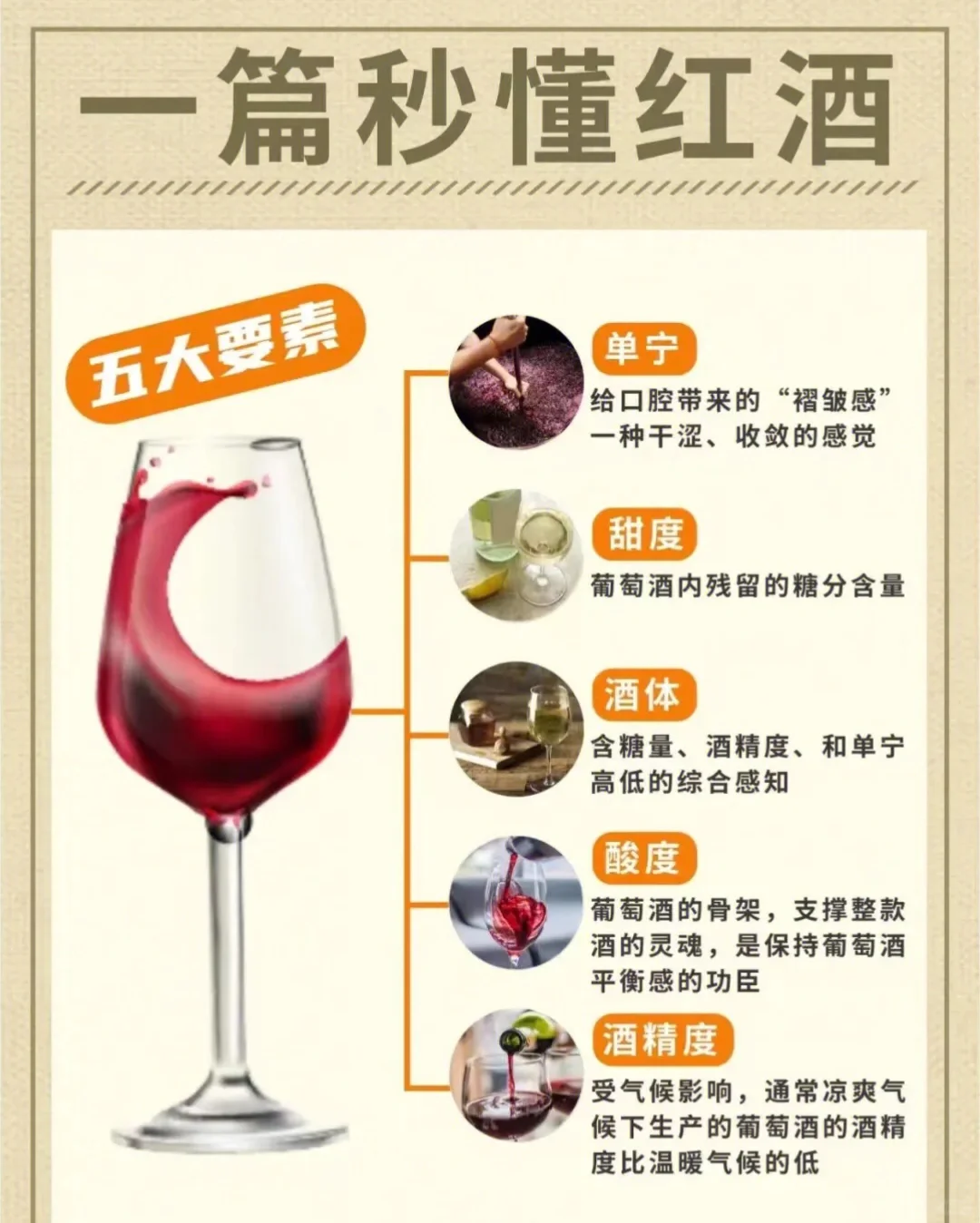 新手入门，好酒知识