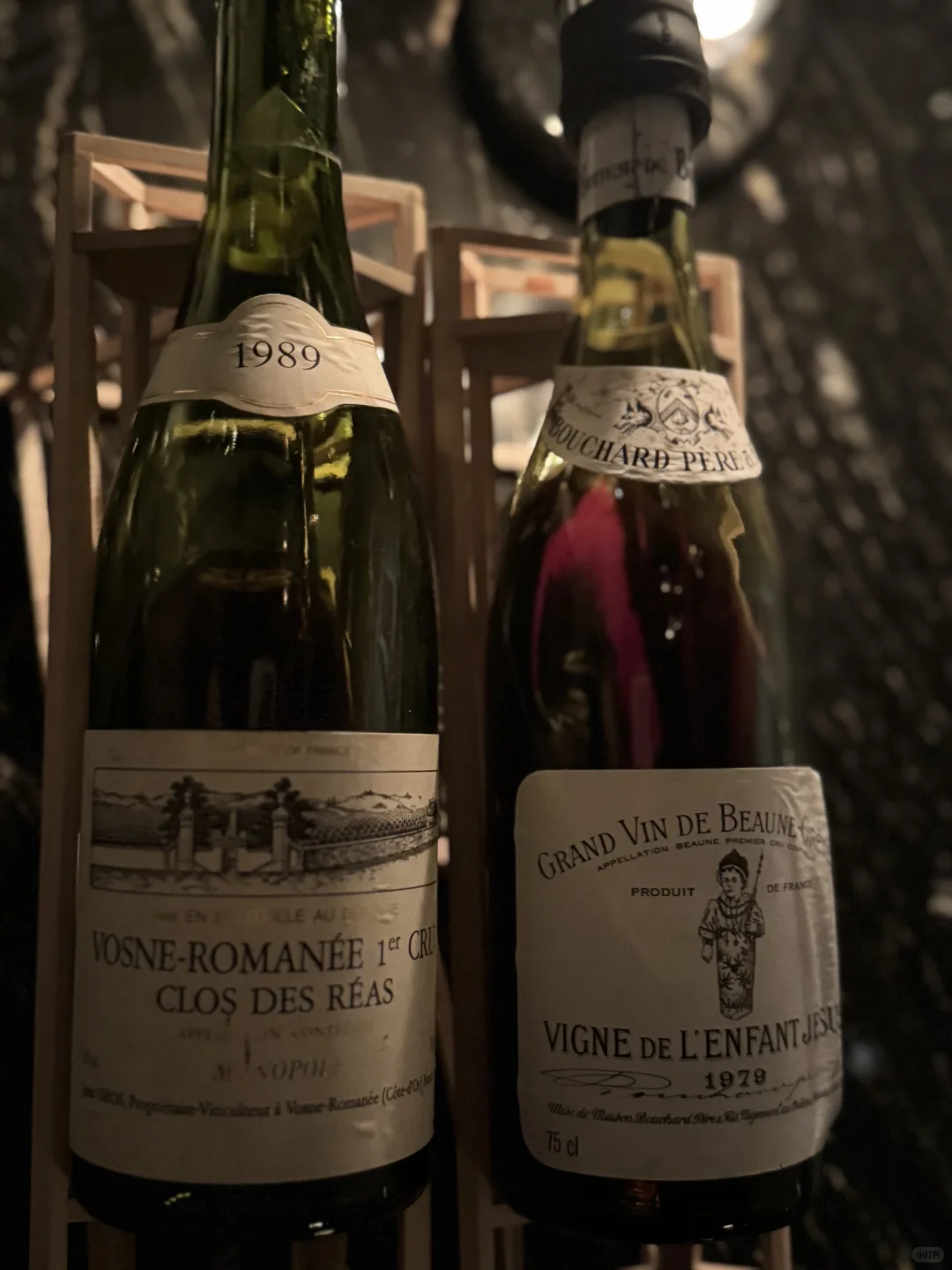 这两天的葡萄酒-东京