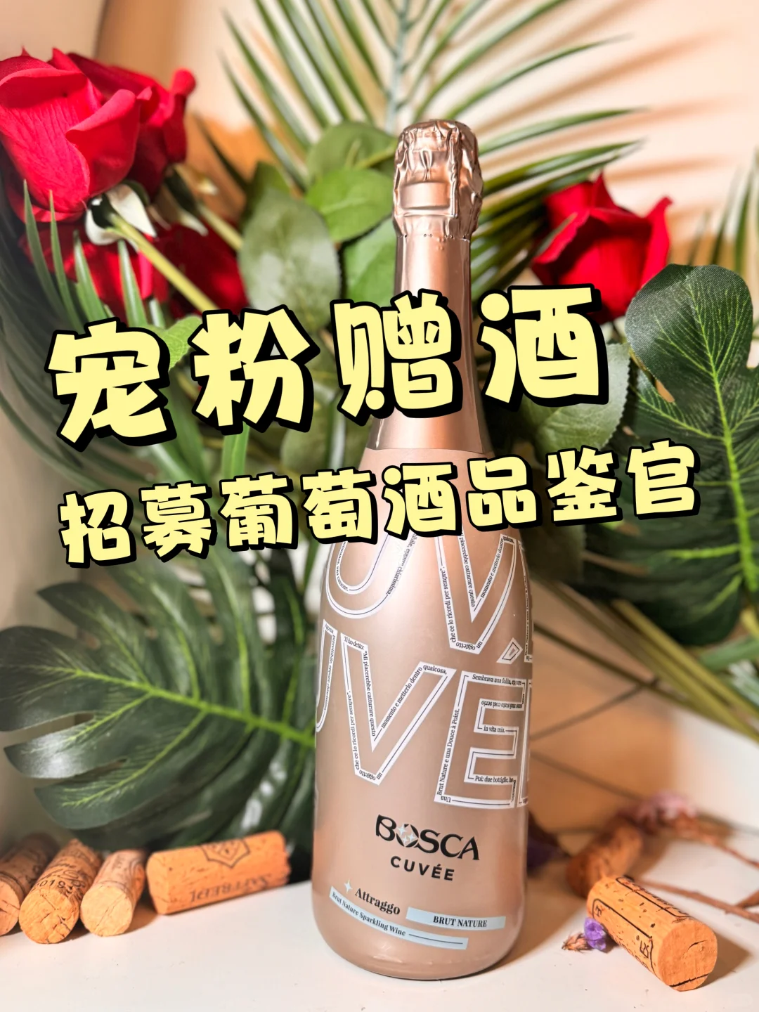 葡萄酒品鉴官招募 | 意大利美酒等你来品❗