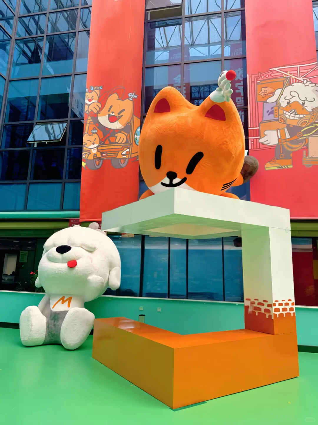 坏消息：抢不到猫粮半价 好消息：直接入职了