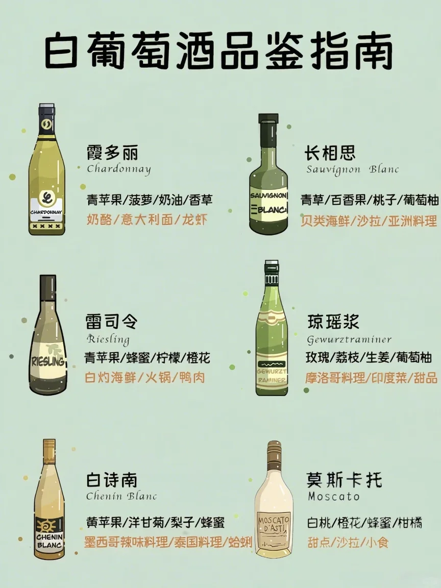 白葡萄酒品种图鉴✨ 一起秒变品鉴达人