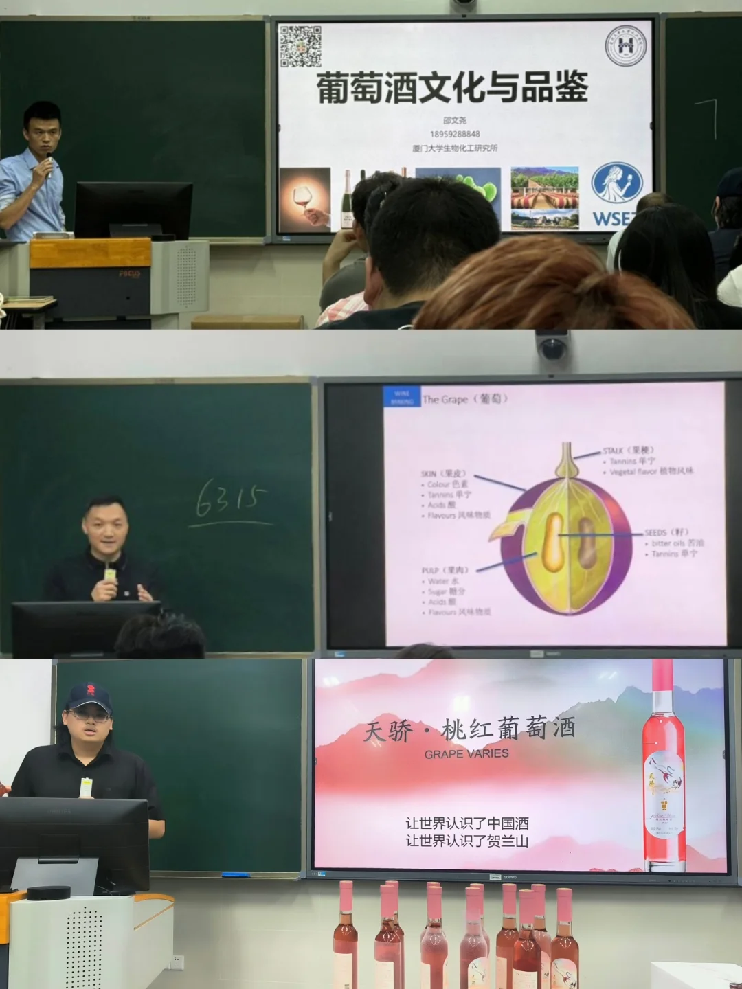 XMU微醺日常|神仙校选《葡萄酒文化与品鉴》?