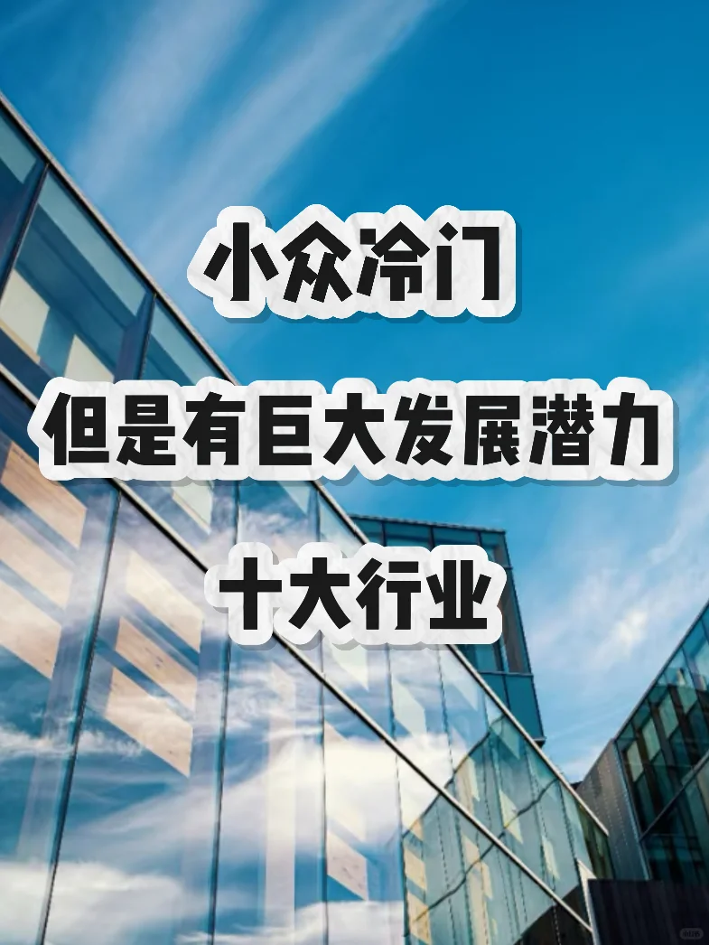 小众却潜力无限:未来最具前景的十大行业