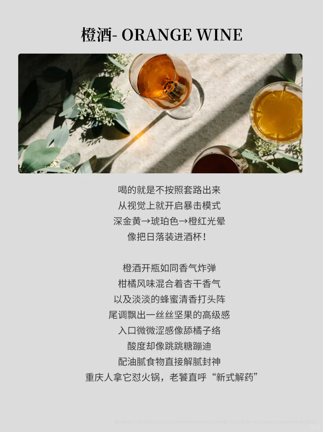 一分钟带你认识特色葡萄酒:橙酒