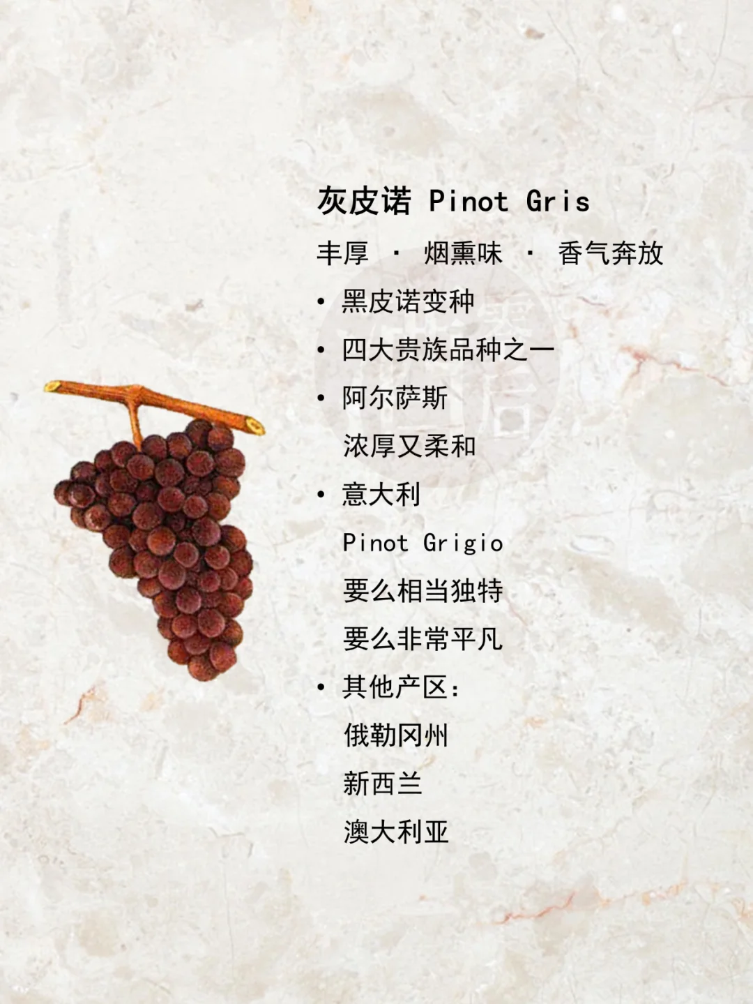 一图解读|世界15种著名酿酒葡萄品种?