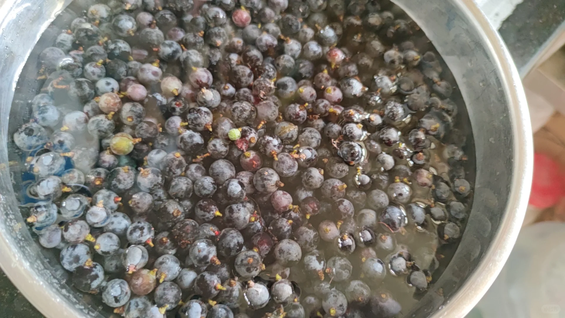 试做葡萄酒,期待成功