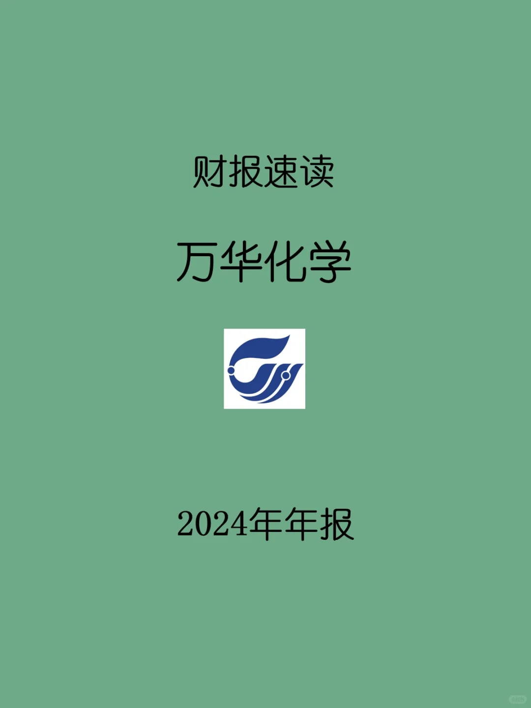 2024年报 | 070 万华化学