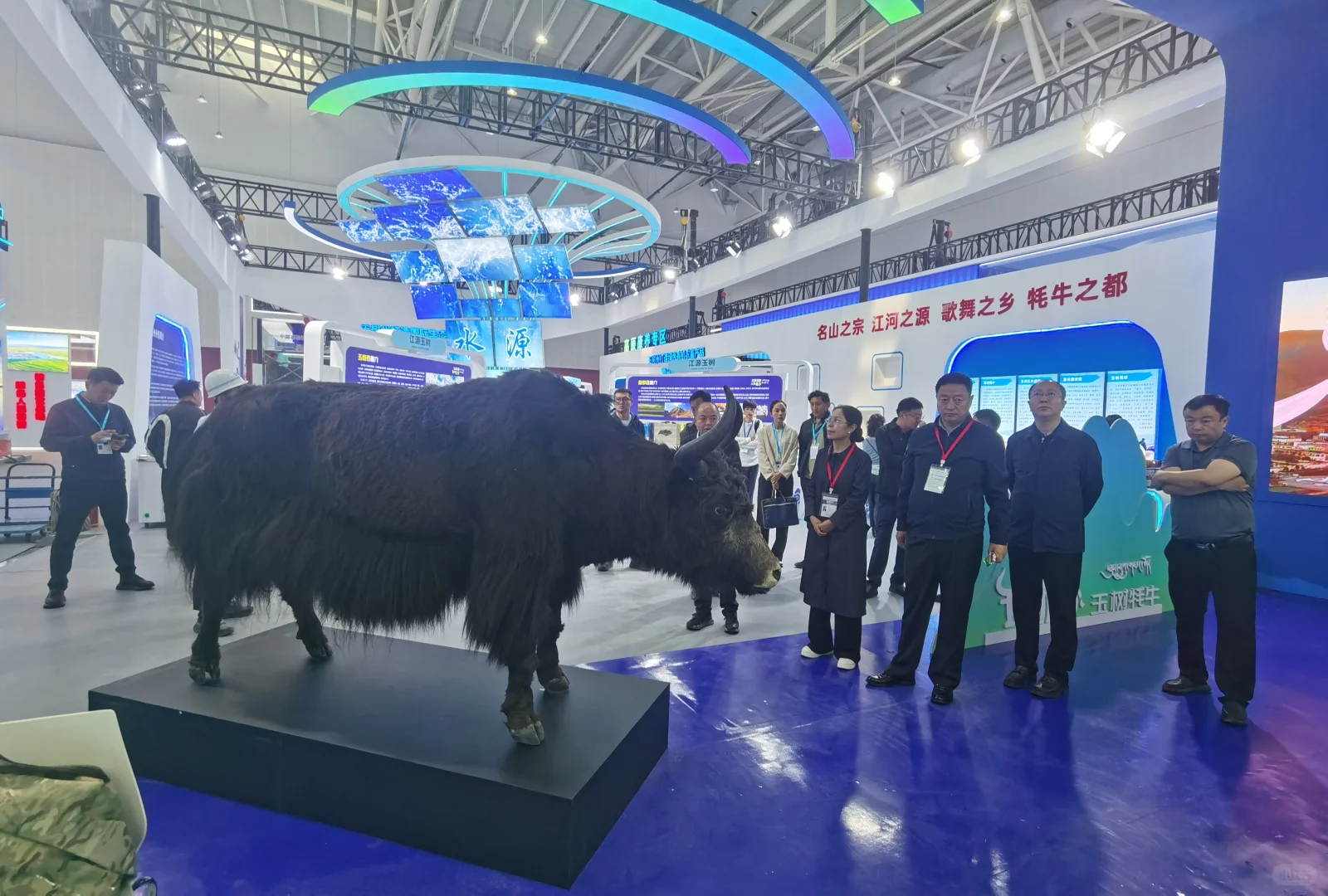 在西宁的一个月除了加班就是加班