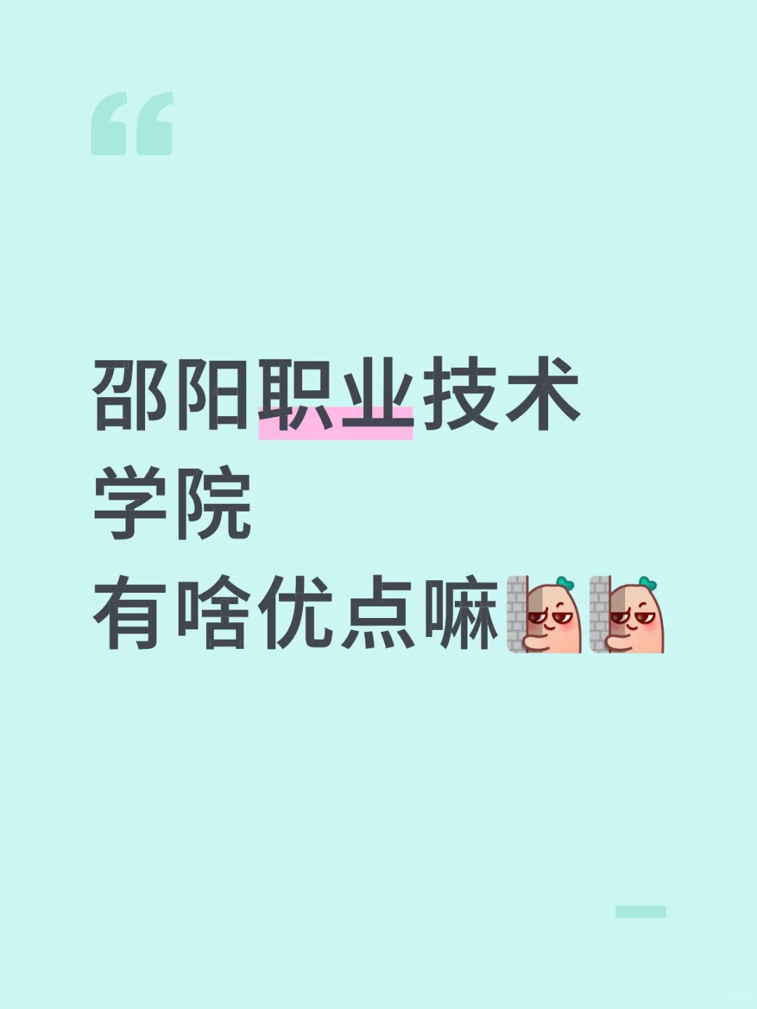 邵阳职业技术学院的优点