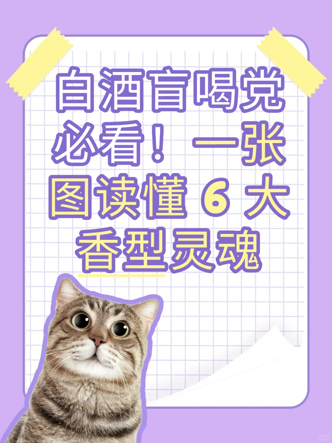 白酒小白必看！6 大香型 + 选酒公式?