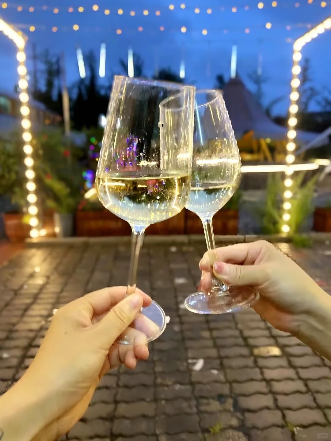 白葡萄酒文案✨
