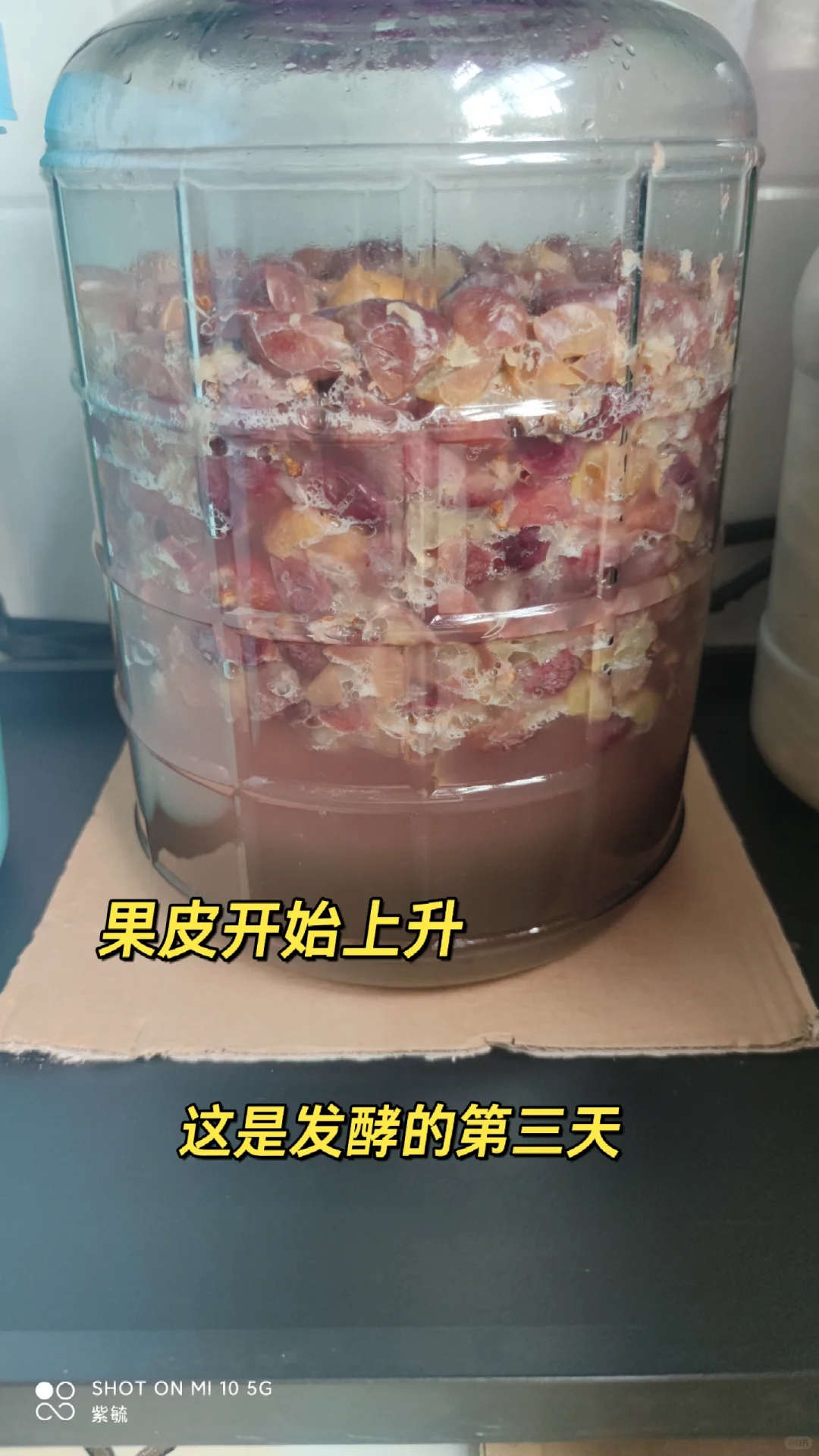 简单做葡萄酒?????