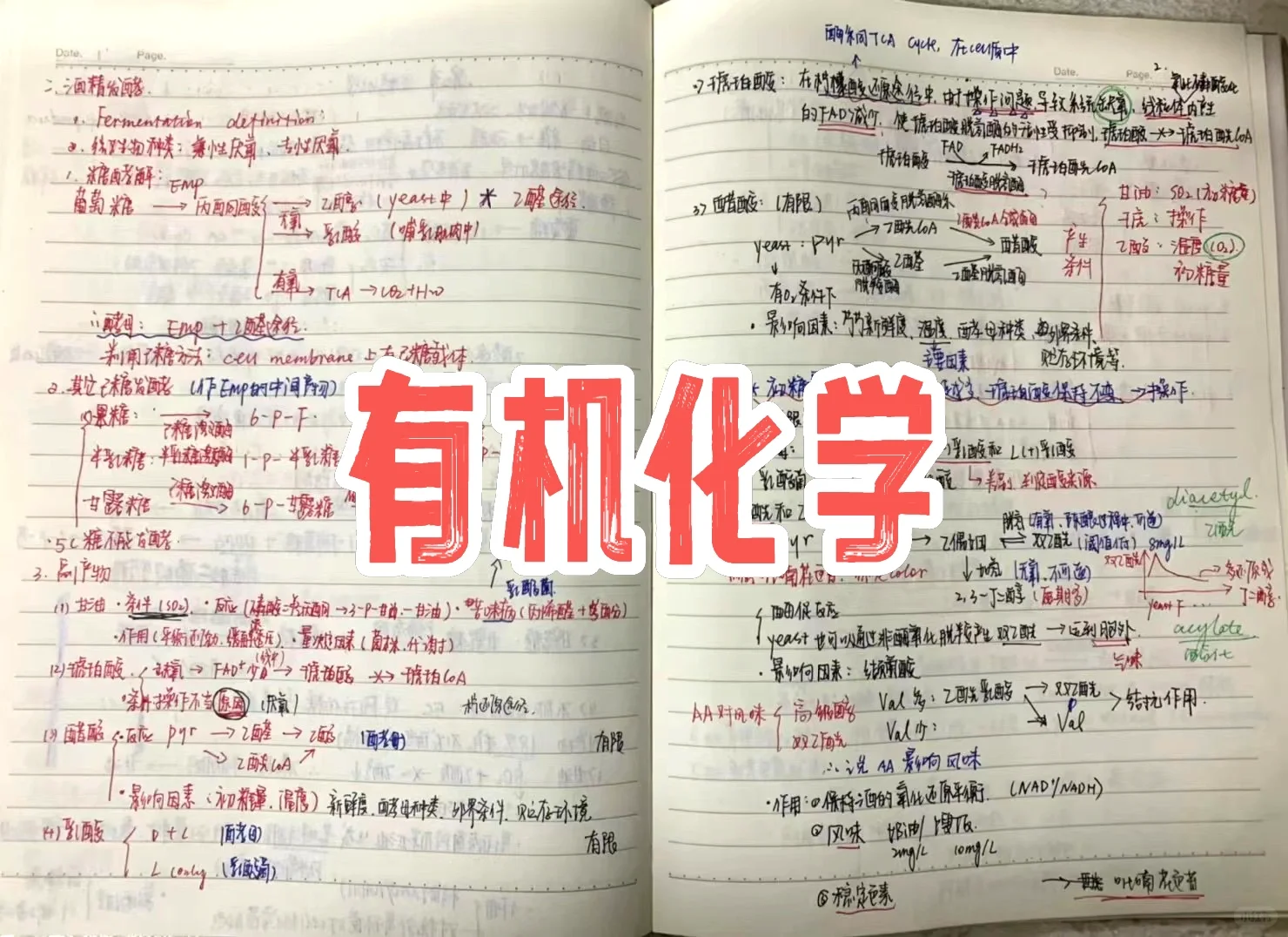第二章｜中农学姐带你了解真实的葡萄酒课程