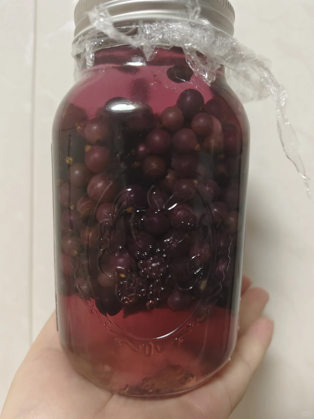 南京野菜集——野葡萄