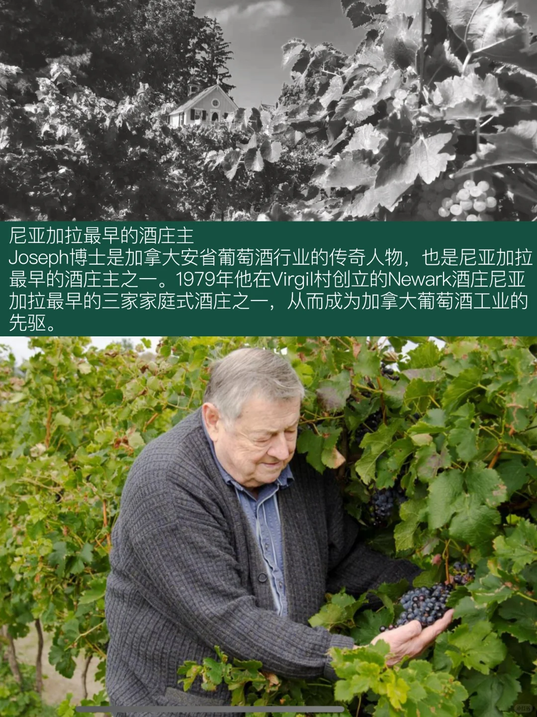 探秘传奇！??加拿大约瑟夫酒庄