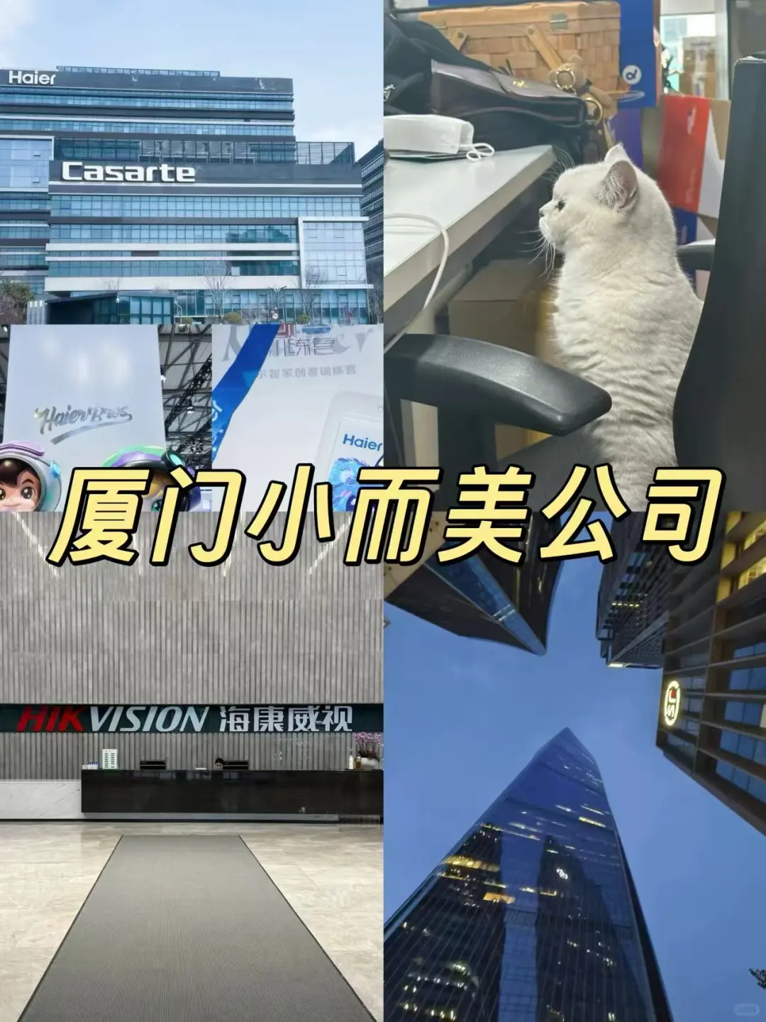 盘点一些厦门小而美企业…