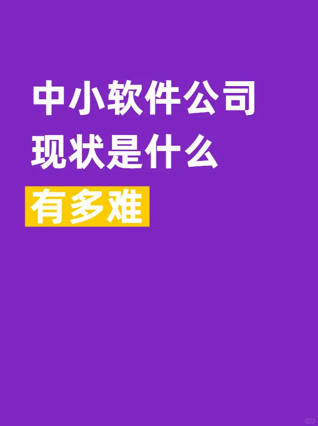 中小软件公司现状是什么,有多难