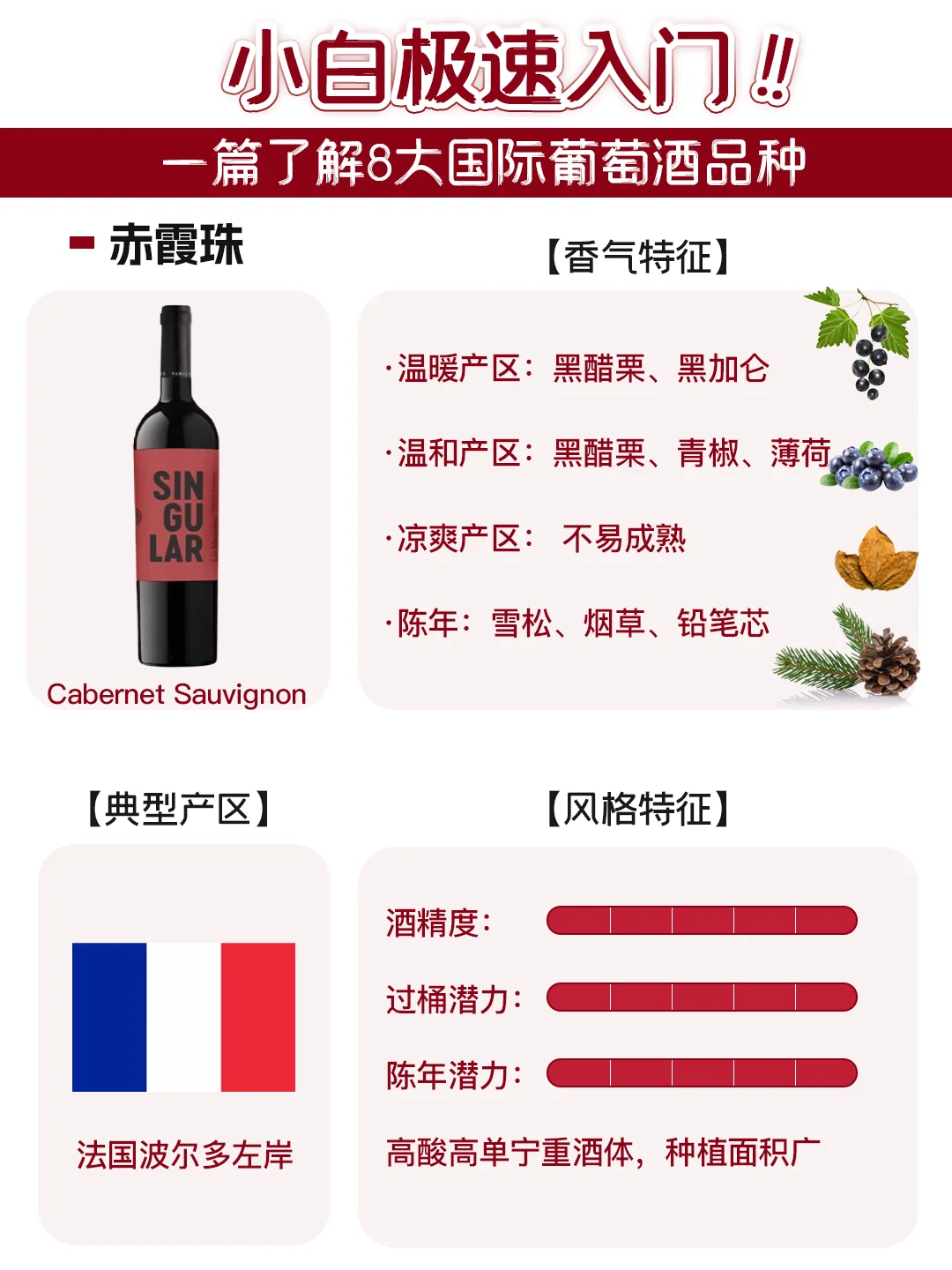 了解这8个葡萄品种，就搞懂90%的葡萄酒❗️