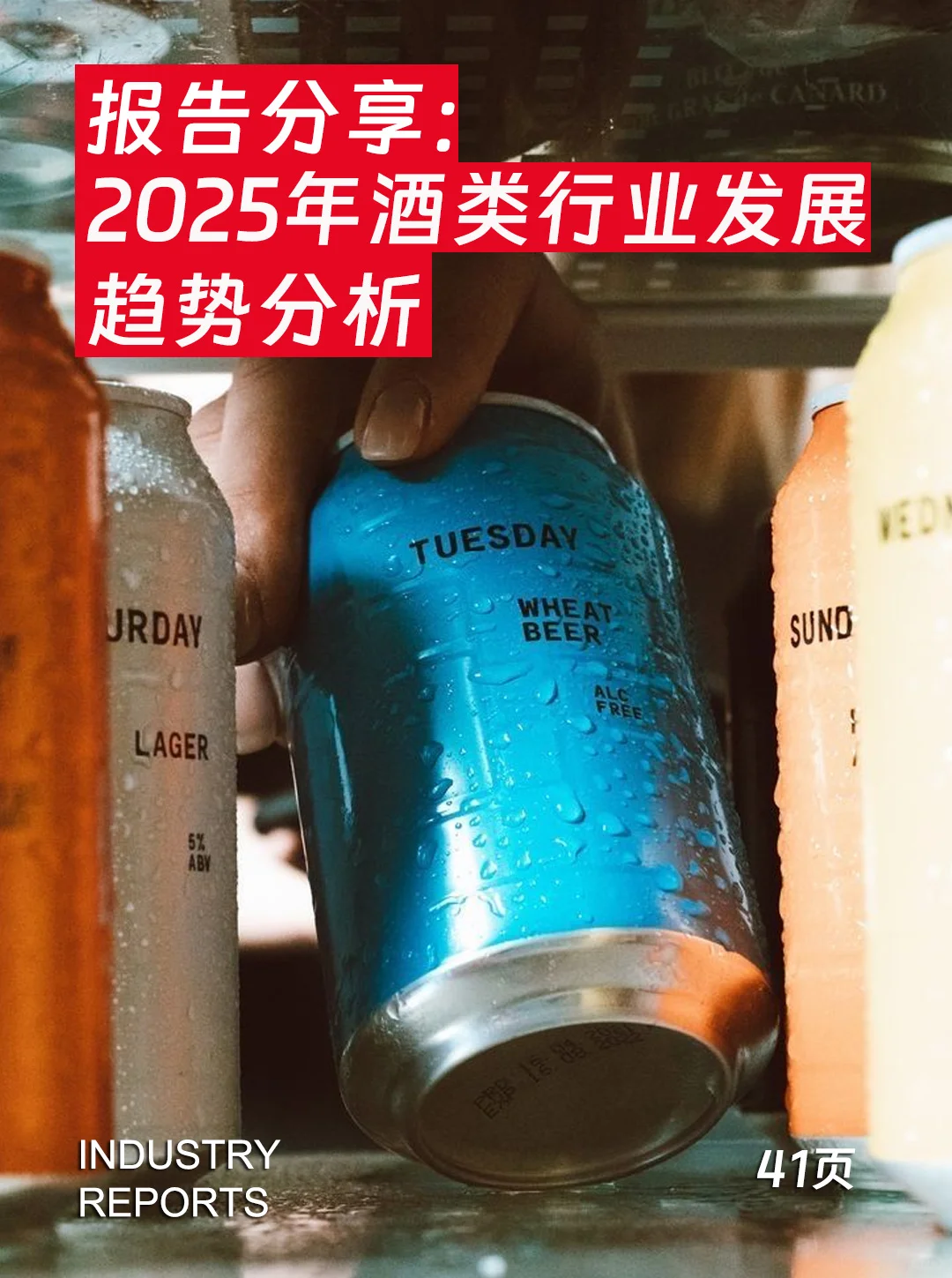 41页|2025年酒类行业发展趋势分析