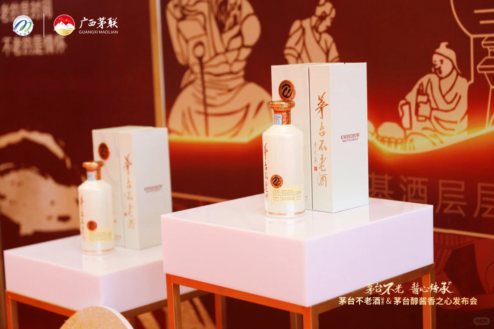 茅台新品发布会照片直播拍摄记录