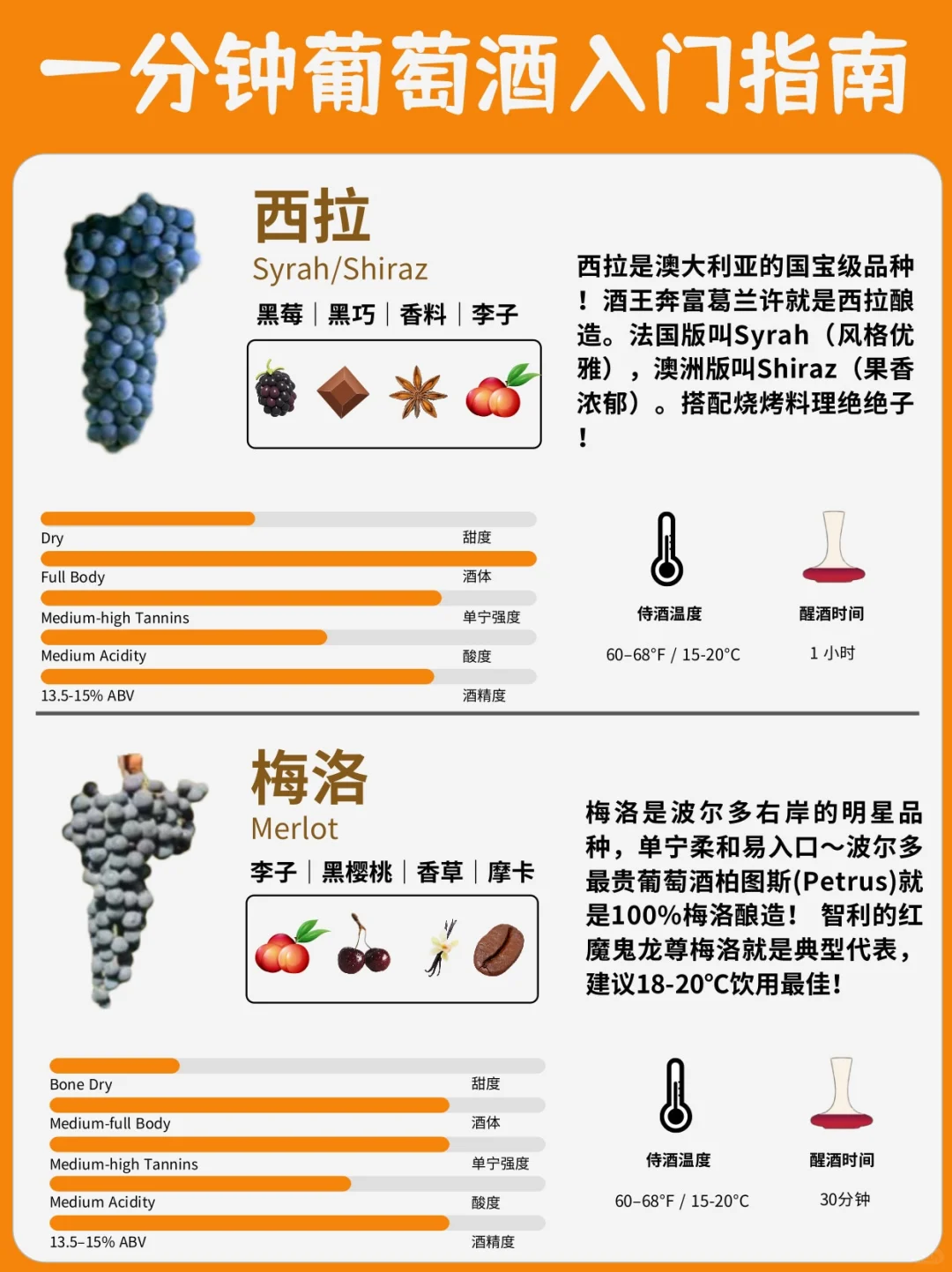 葡萄酒入门指南?一分钟了解8大葡萄品种❗️