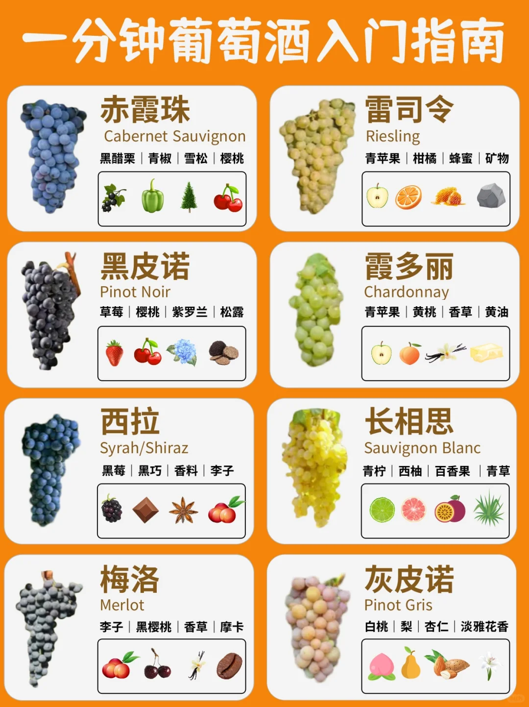 葡萄酒入门指南?一分钟了解8大葡萄品种❗️