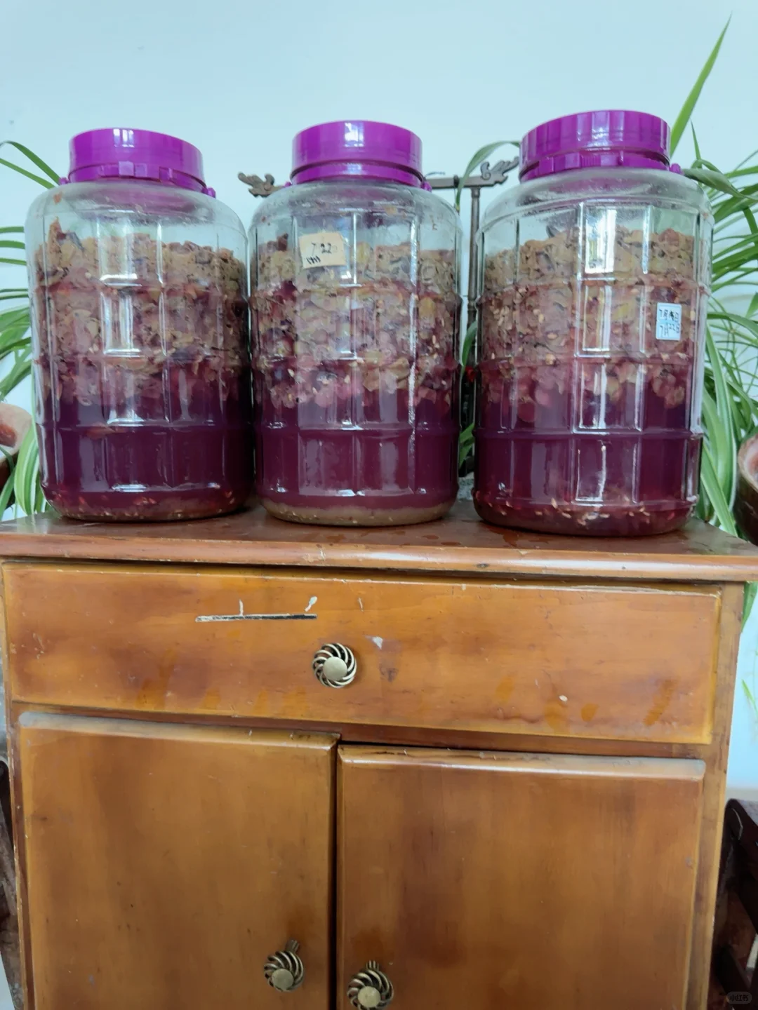 葡萄酿酒、又学一招