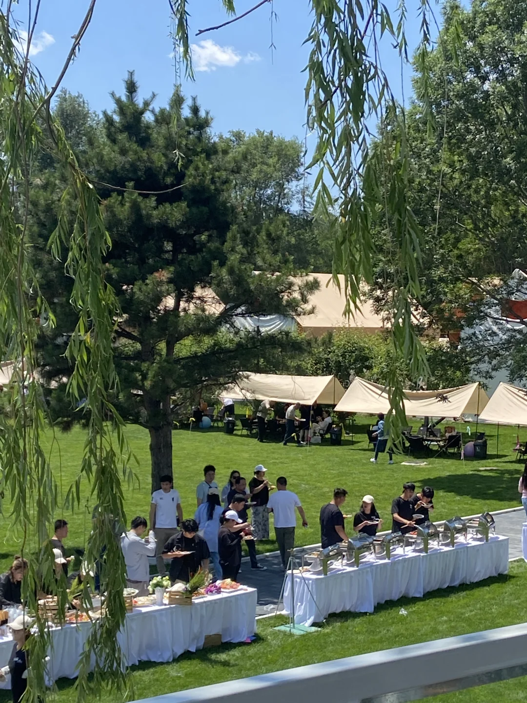 酒旅景区直播技巧与心得