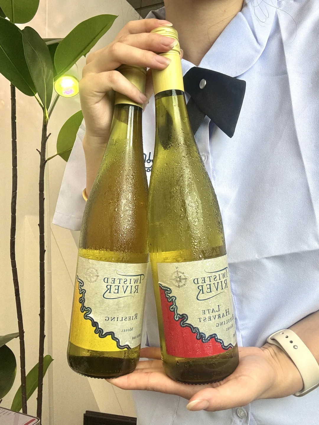 让夏天幸福1000倍的空调酒