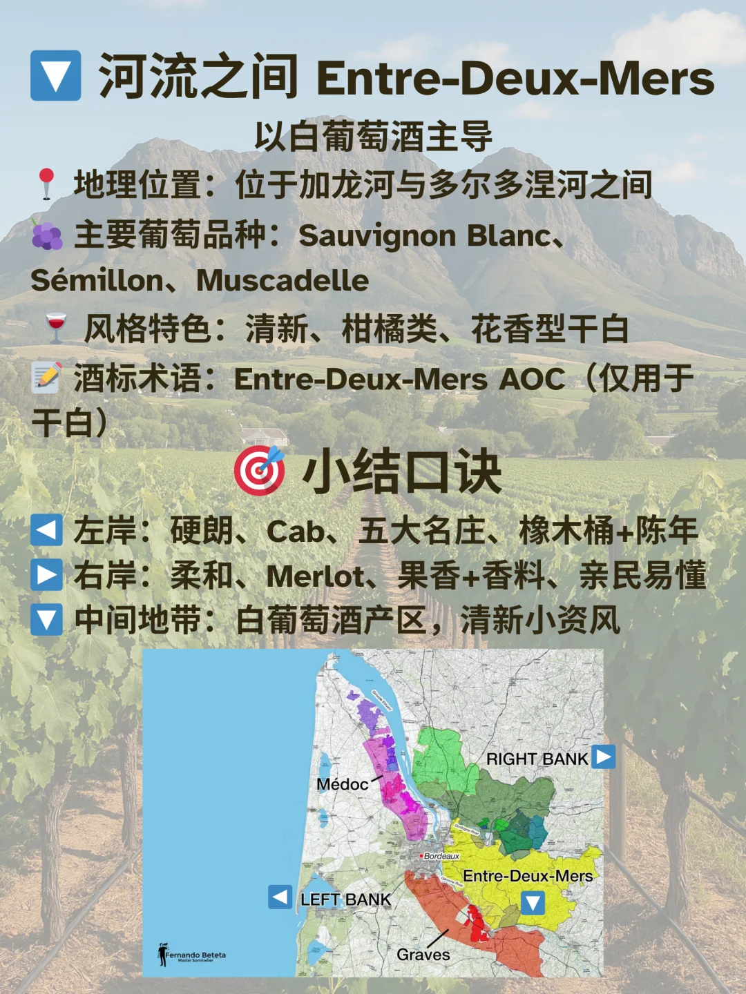 ?️ 葡萄酒产区特辑 ｜波尔多Bordeaux