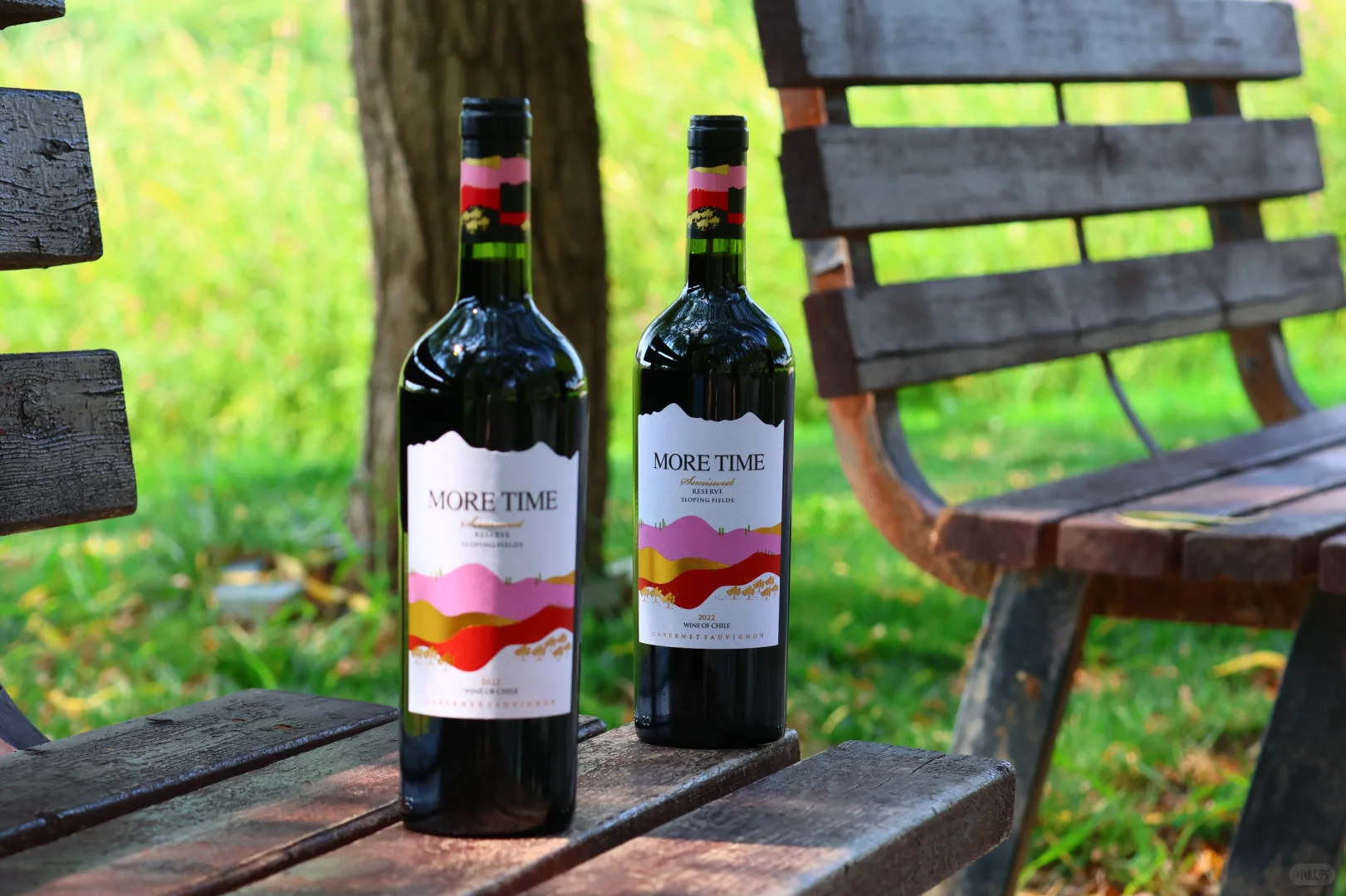 智利半甜红葡萄酒750ml微醺夏日解腻甜红