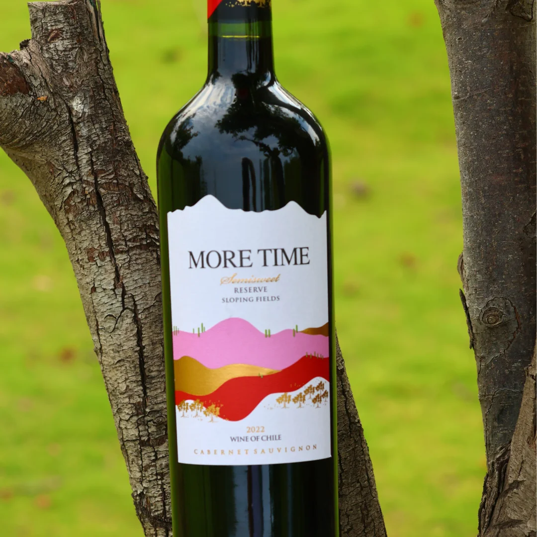 智利半甜红葡萄酒750ml微醺夏日解腻甜红