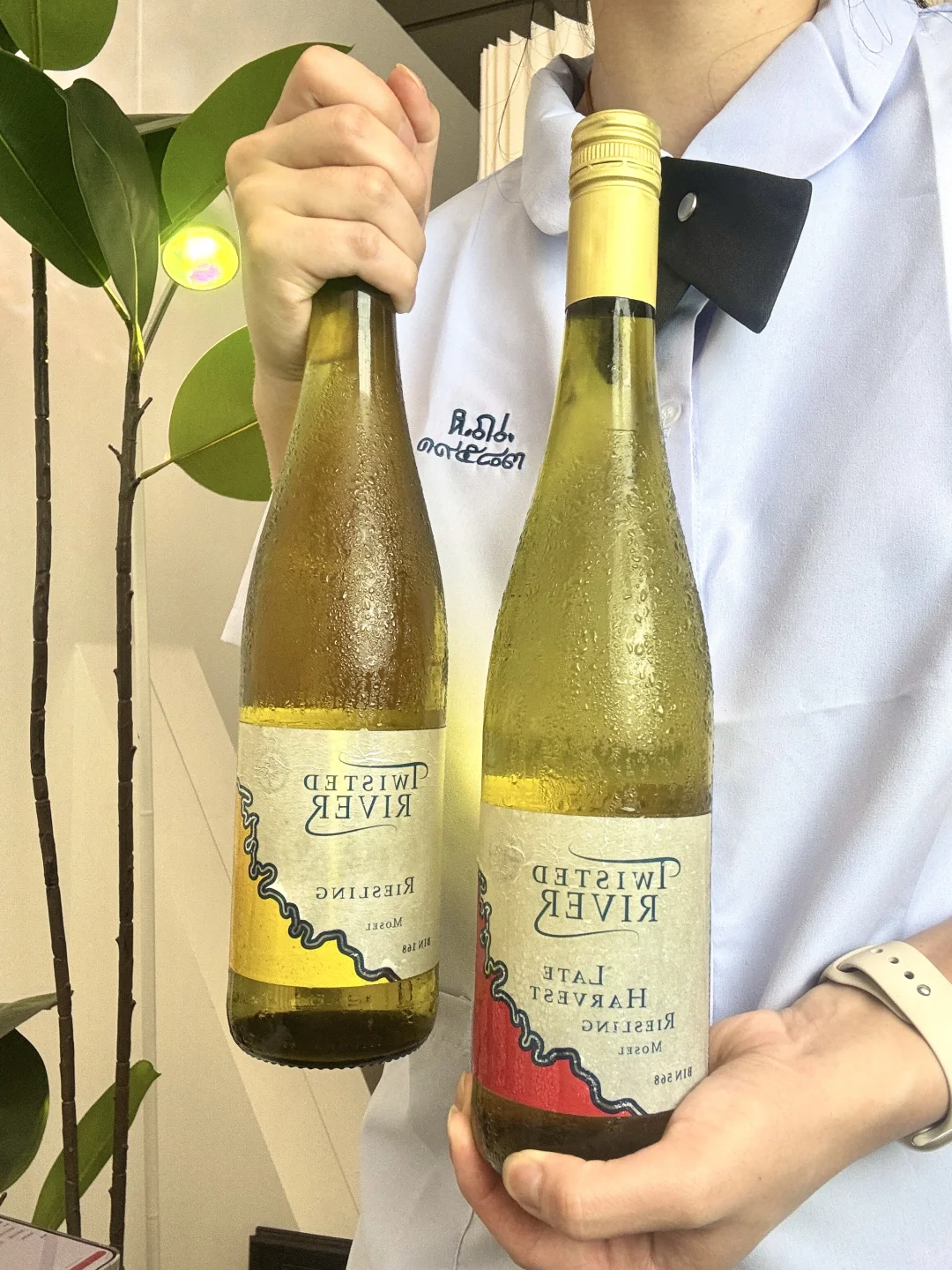 让夏天幸福1000倍的空调酒