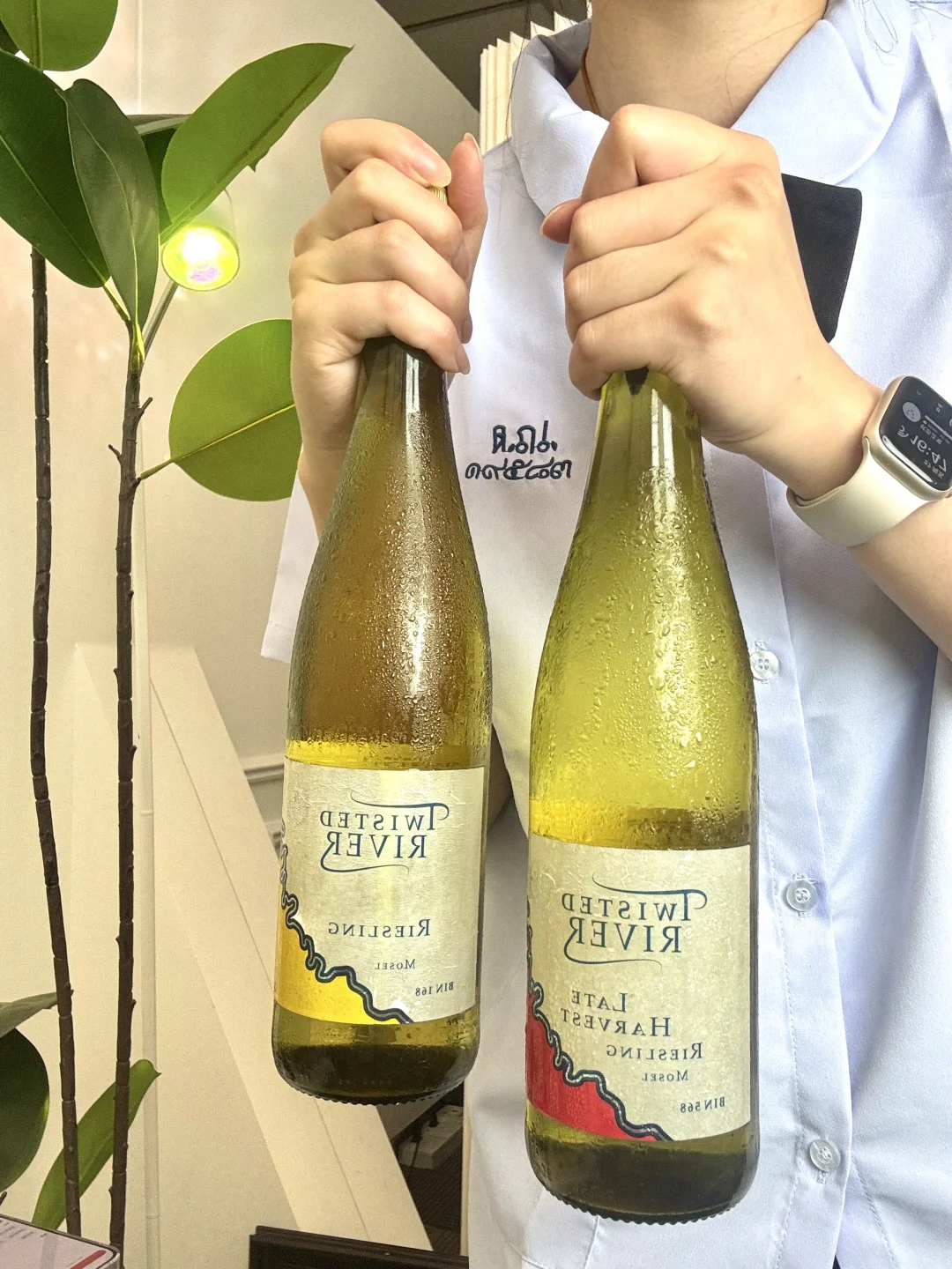 让夏天幸福1000倍的空调酒