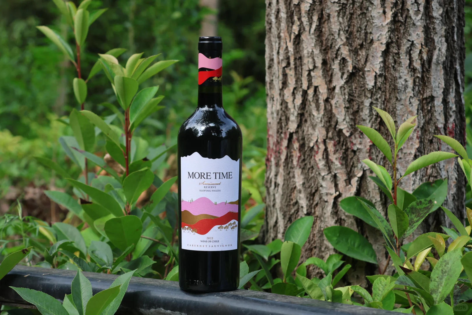 智利半甜红葡萄酒750ml微醺夏日解腻甜红