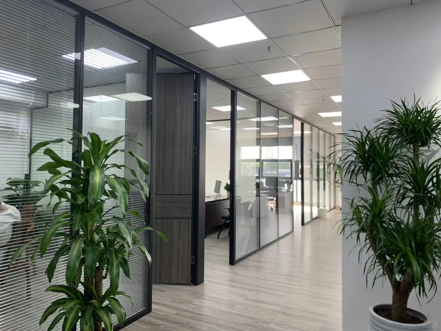 分公司招聘啦 快来咨询哦