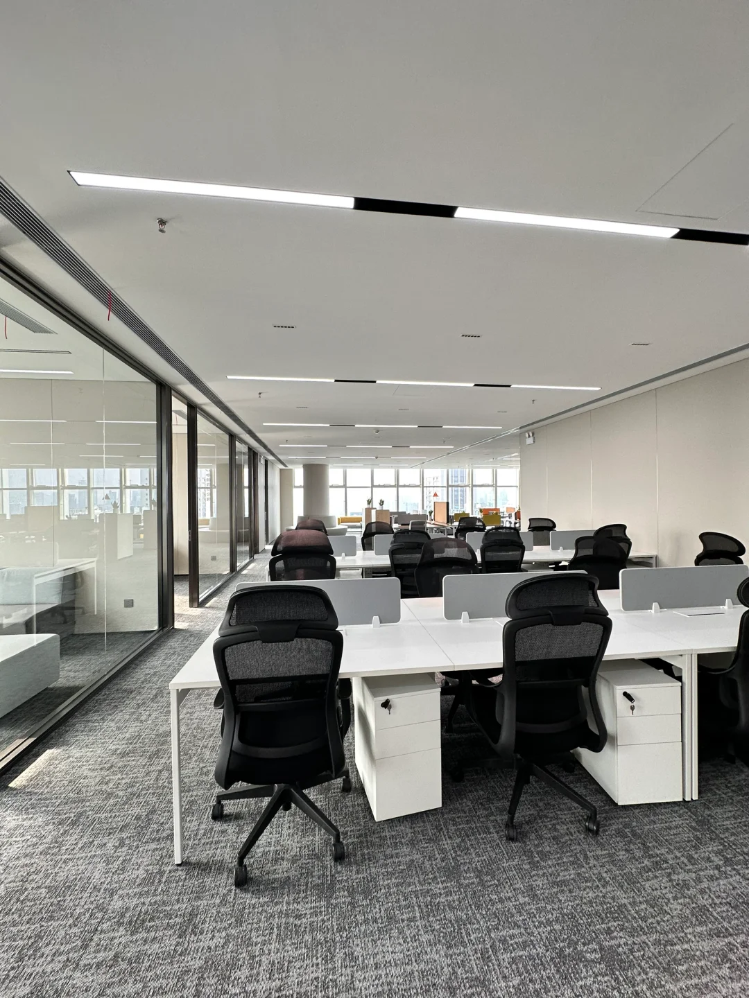 老板开的600多平公司，在这加班到23点都愿意