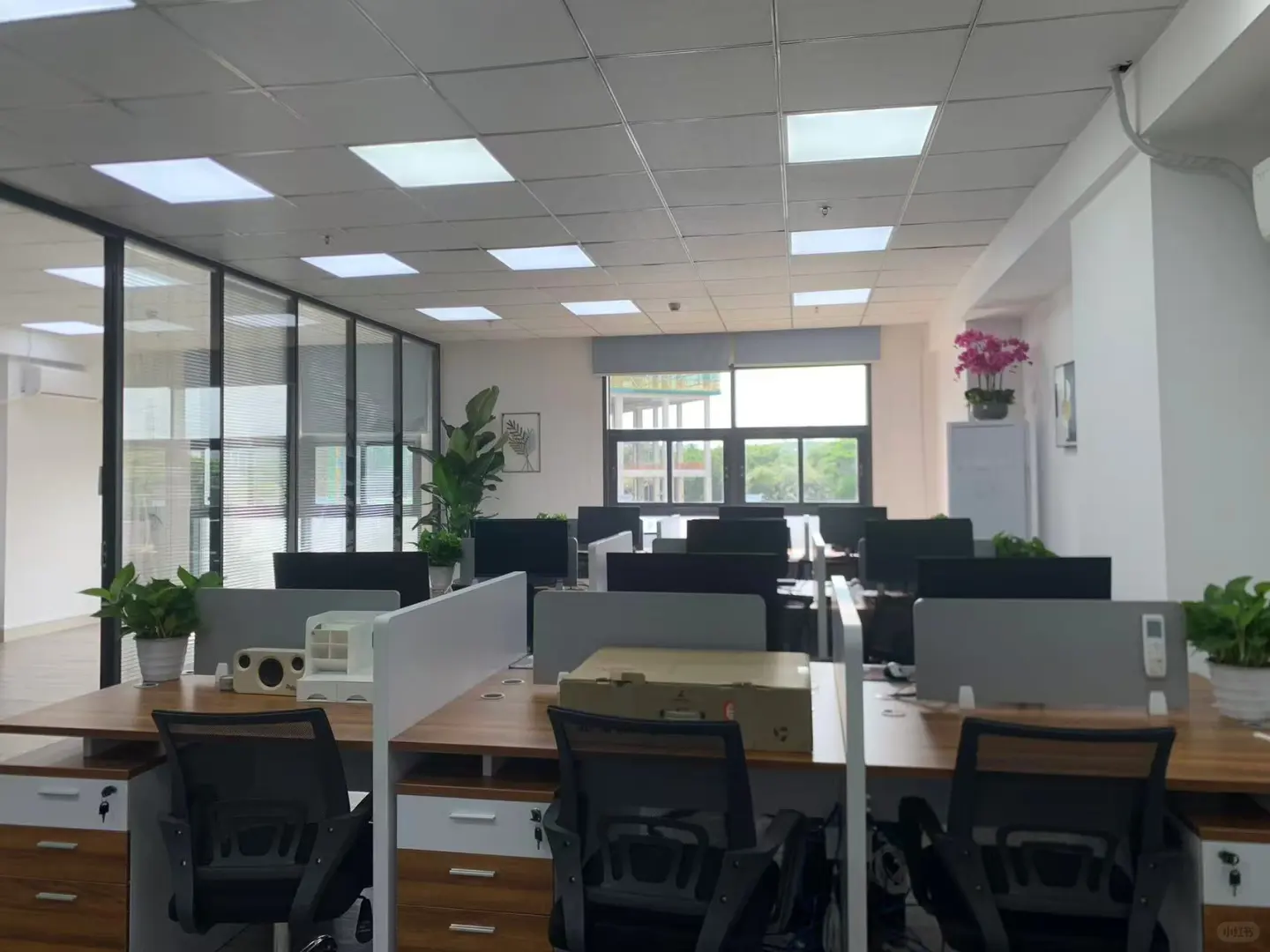 分公司招聘啦 快来咨询哦