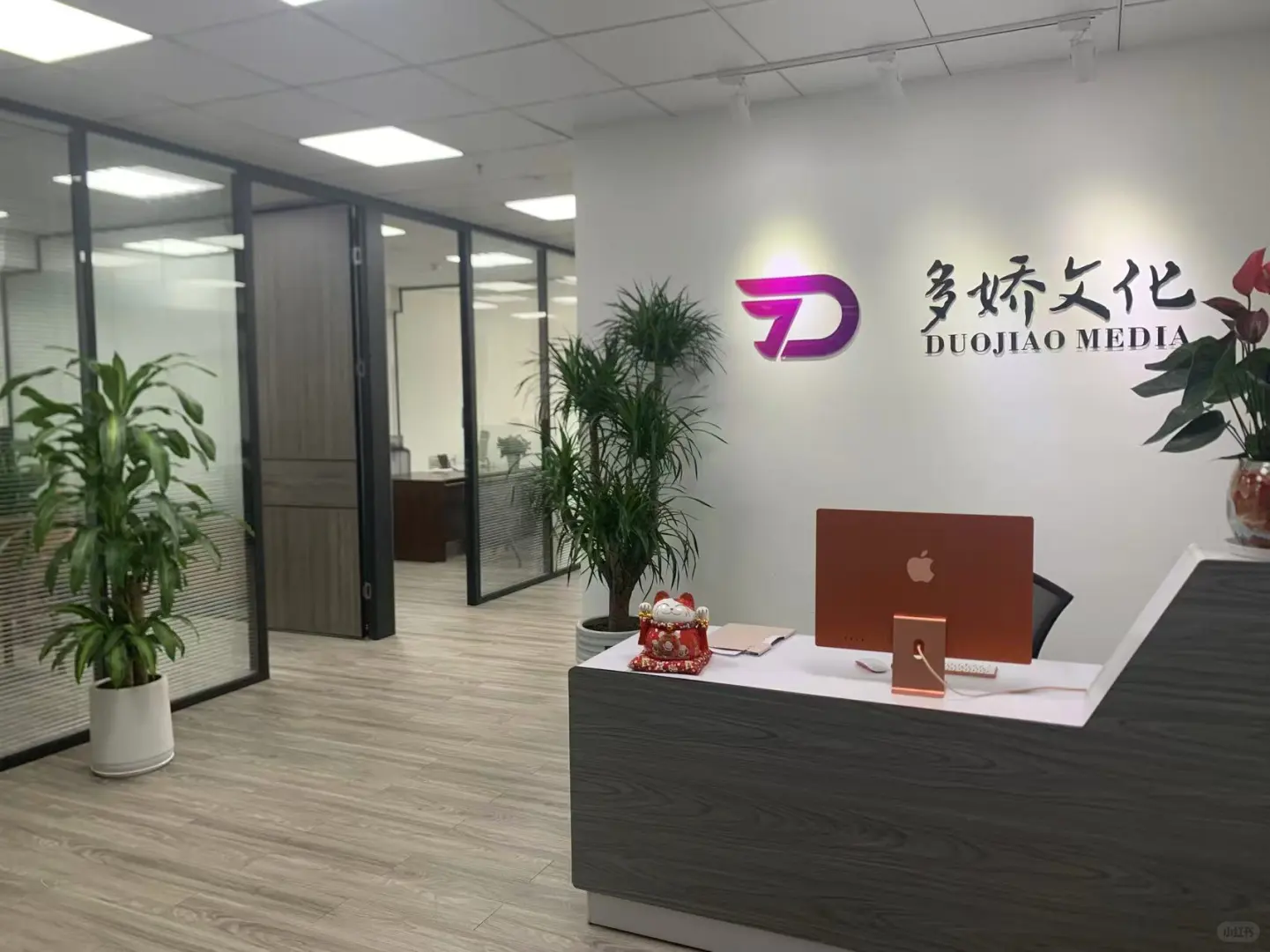 分公司招聘啦 快来咨询哦